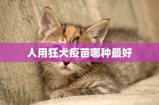 人用狂犬疫苗哪種最好