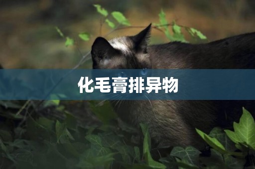 化毛膏排異物