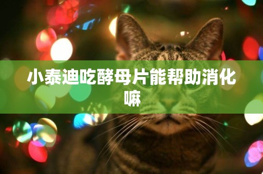 小泰迪吃酵母片能幫助消化嘛