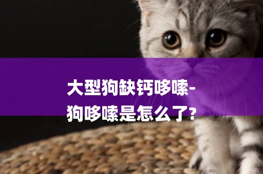 大型狗缺鈣哆嗦-
狗哆嗦是怎么了?