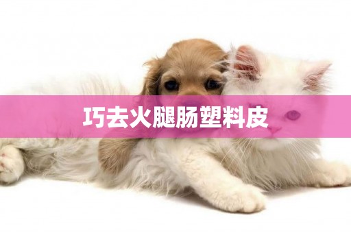 巧去火腿腸塑料皮