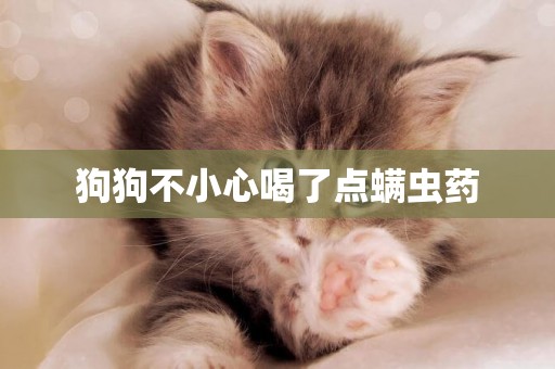 狗狗不小心喝了點螨蟲藥