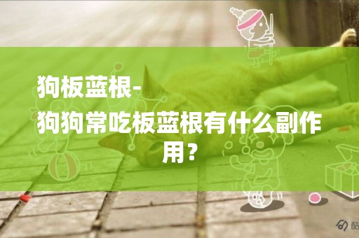 狗板藍根-
狗狗常吃板藍根有什么副作用？