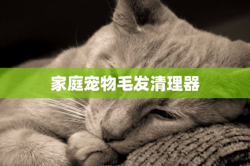 家庭寵物毛發清理器