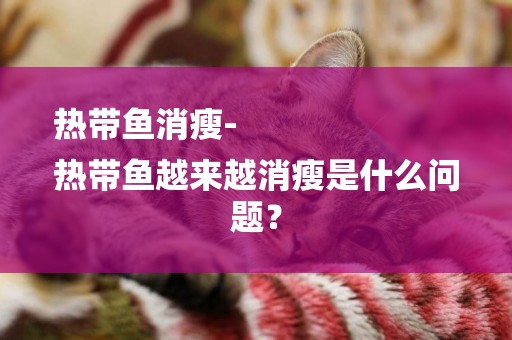 熱帶魚消瘦-
熱帶魚越來越消瘦是什么問題？