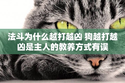 法斗為什么越打越兇 狗越打越兇是主人的教養方式有誤
