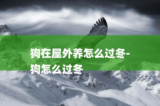 狗在屋外養怎么過冬-
狗怎么過冬