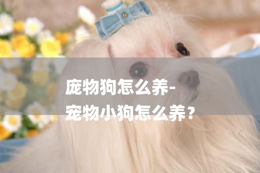 龐物狗怎么養-
寵物小狗怎么養？