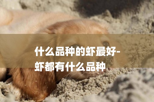什么品種的蝦最好-
蝦都有什么品種