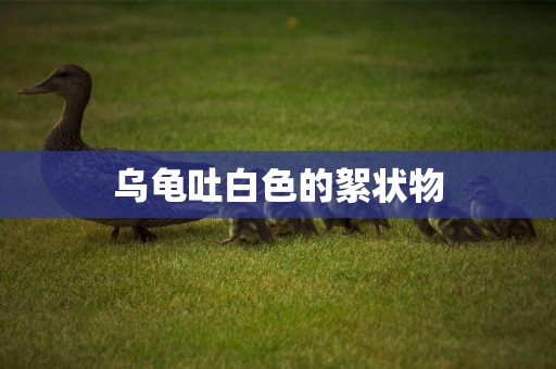 烏龜吐白色的絮狀物