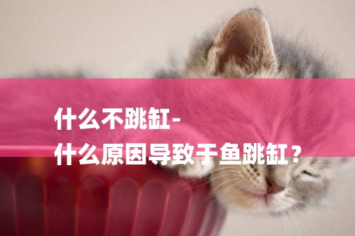 什么不跳缸-
什么原因導致于魚跳缸？