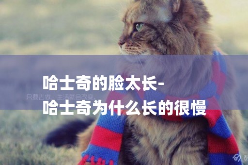 哈士奇的臉太長-
哈士奇為什么長的很慢
