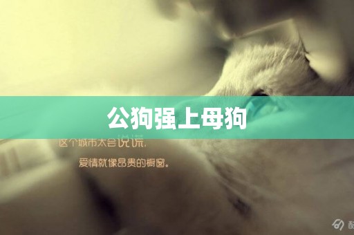 公狗強上母狗