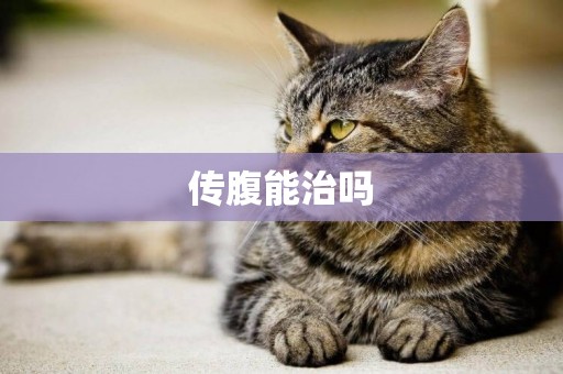 傳腹能治嗎