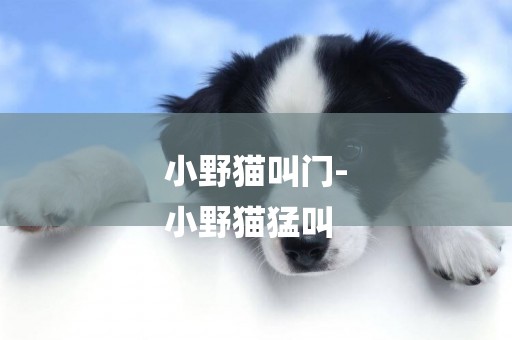 小野貓叫門-
小野貓猛叫