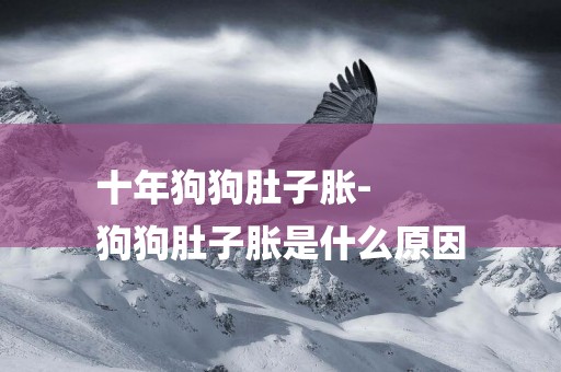 十年狗狗肚子脹-
狗狗肚子脹是什么原因