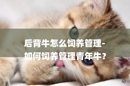后背牛怎么飼養管理-
如何飼養管理青年牛？