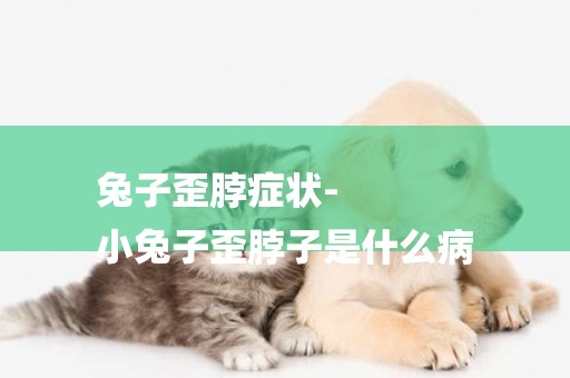 兔子歪脖癥狀-
小兔子歪脖子是什么病