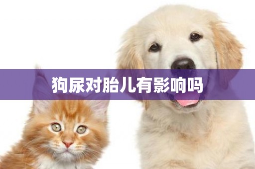 狗尿對胎兒有影響嗎