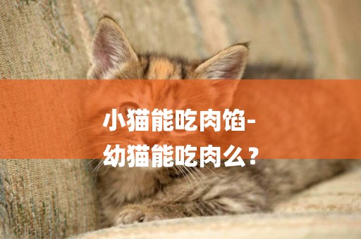 小貓能吃肉餡-
幼貓能吃肉么？