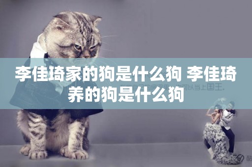 李佳琦家的狗是什么狗 李佳琦養的狗是什么狗
