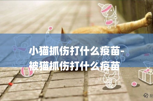 小貓抓傷打什么疫苗-
被貓抓傷打什么疫苗