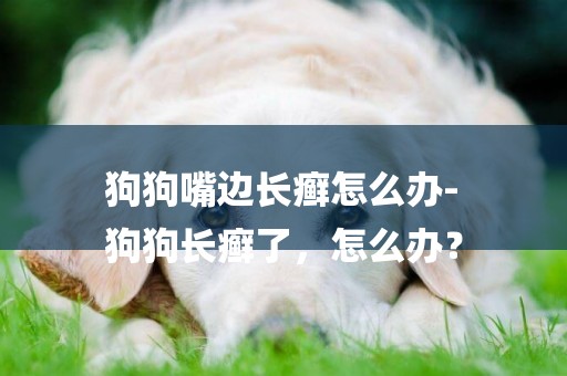 狗狗嘴邊長癬怎么辦-
狗狗長癬了，怎么辦？