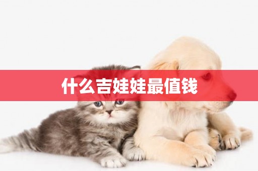 什么吉娃娃最值錢