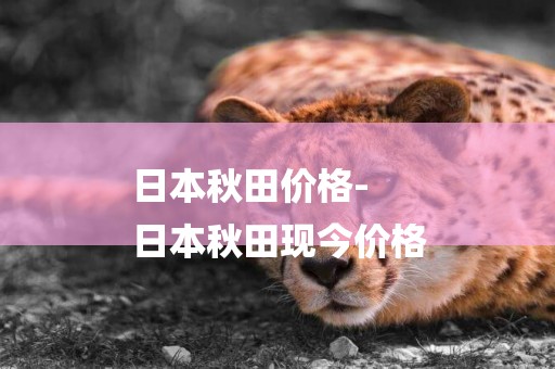 日本秋田價格-
日本秋田現今價格