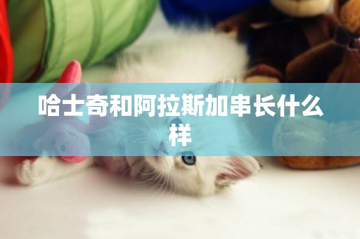哈士奇和阿拉斯加串長什么樣