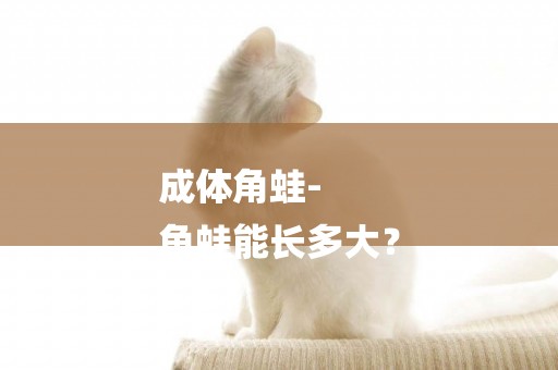 成體角蛙-
角蛙能長多大？