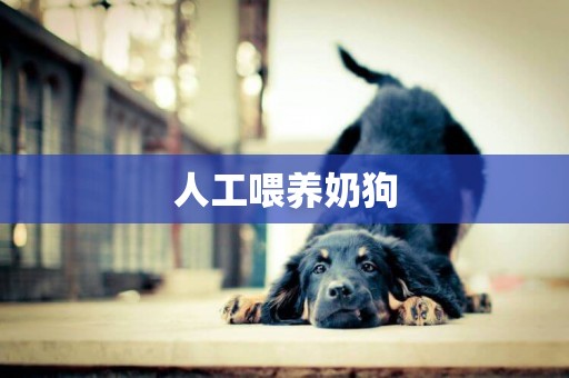 人工喂養奶狗