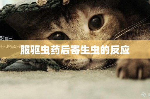 服驅蟲藥后寄生蟲的反應