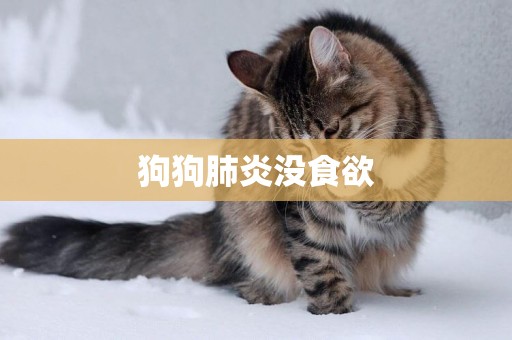 狗狗肺炎沒食欲