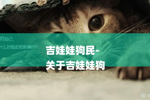 吉娃娃狗民-
關于吉娃娃狗