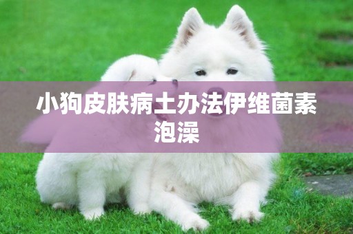 小狗皮膚病土辦法伊維菌素泡澡