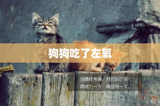 狗狗吃了左氧