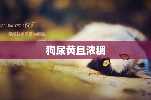 狗尿黃且濃稠
