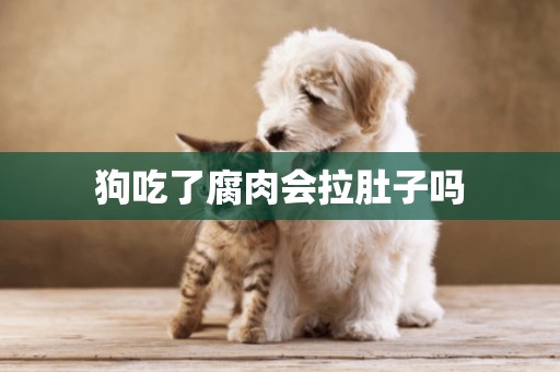 狗吃了腐肉會拉肚子嗎