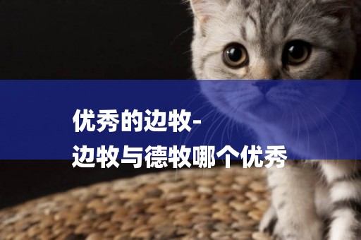 優秀的邊牧-
邊牧與德牧哪個優秀