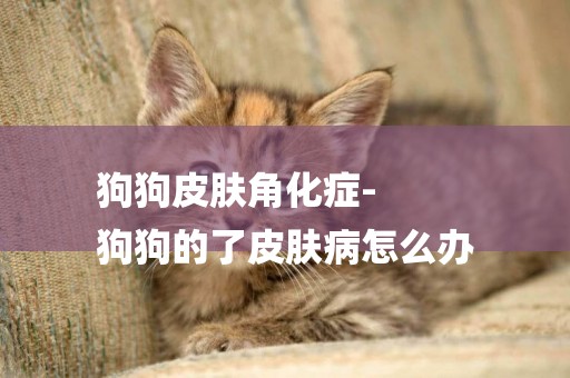 狗狗皮膚角化癥-
狗狗的了皮膚病怎么辦