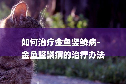 如何治療金魚豎鱗病-
金魚豎鱗病的治療辦法