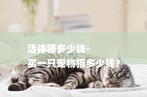 活體貓多少錢-
買一只寵物貓多少錢？