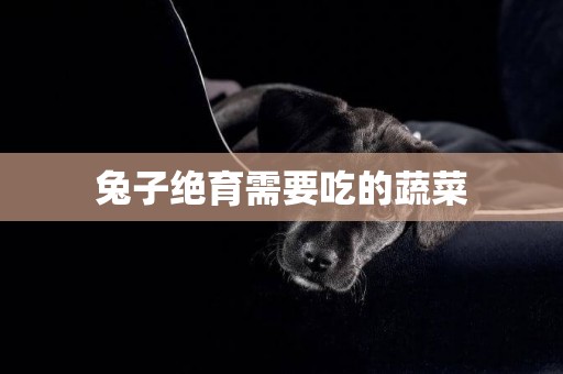 兔子絕育需要吃的蔬菜
