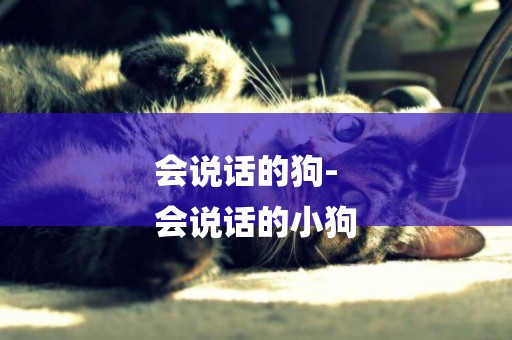 會說話的狗-
會說話的小狗