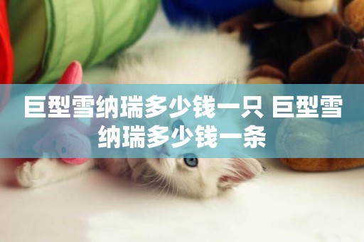 巨型雪納瑞多少錢一只 巨型雪納瑞多少錢一條