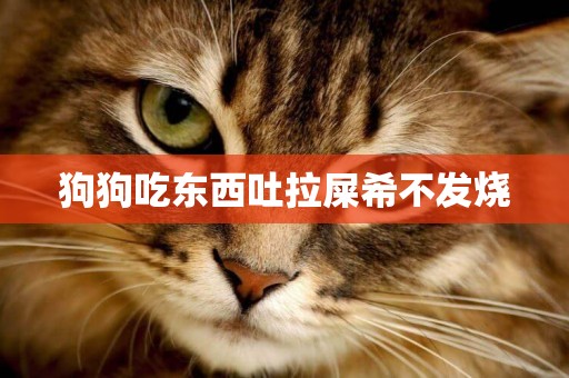 狗狗吃東西吐拉屎希不發燒
