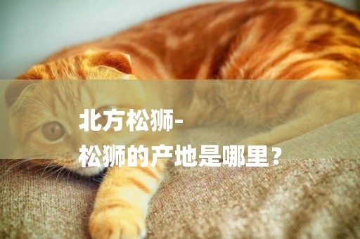 北方松獅-
松獅的產地是哪里？