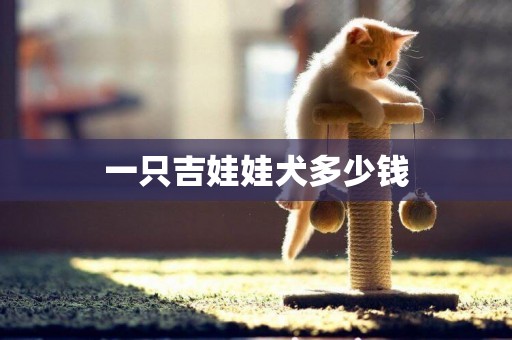 一只吉娃娃犬多少錢
