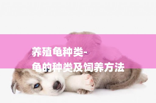 養殖龜種類-
龜的種類及飼養方法